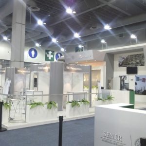 stand25